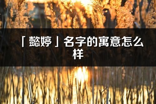 「懿婷」名字的寓意怎么样_懿婷的出处