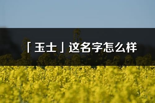 「玉士」这名字怎么样_玉士的名字解释