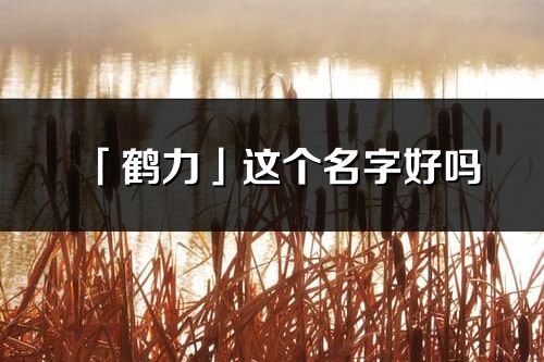 「鹤力」这个名字好吗_鹤力名字寓意,含义