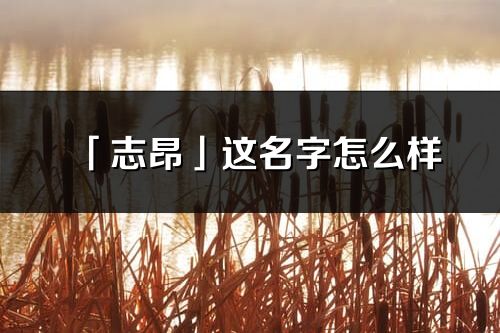 「志昂」这名字怎么样_志昂的名字解释