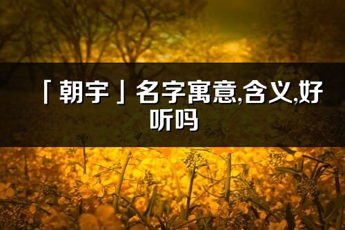 「朝宇」名字寓意,含义,好听吗_朝宇名字分析打分