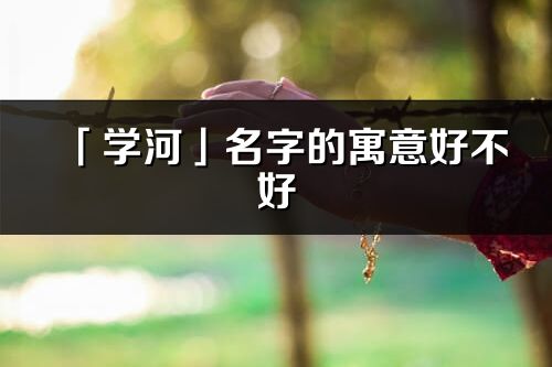 「学河」名字的寓意好不好_学河含义分析