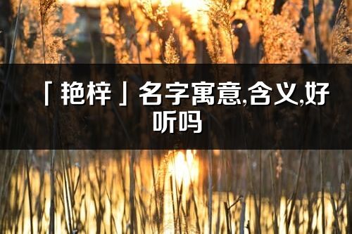 「艳梓」名字寓意,含义,好听吗_艳梓名字分析打分