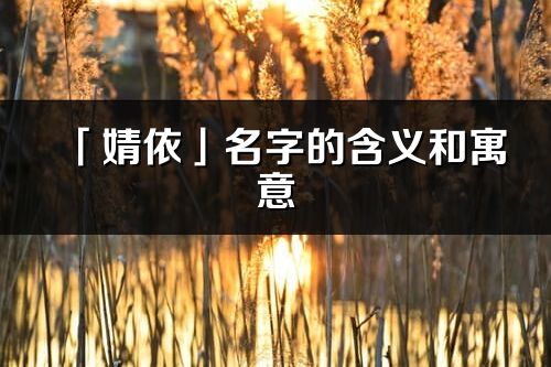 「婧依」名字的含义和寓意_婧依的出处与意思解释