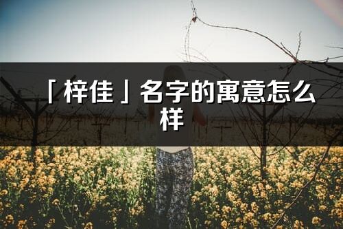 「梓佳」名字的寓意怎么样_梓佳的出处