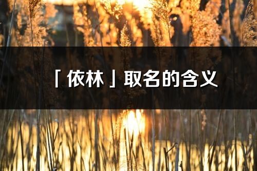 「依林」取名的含义_依林名字寓意解释