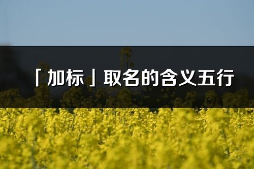 「加标」取名的含义五行_加标名字寓意解释