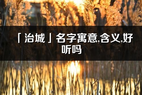 「治城」名字寓意,含义,好听吗_治城名字分析打分