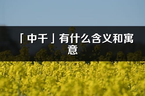 「中千」有什么含义和寓意_中千名字的出处与意思