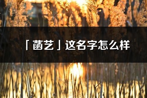 「菡艺」这名字怎么样_菡艺的名字解释