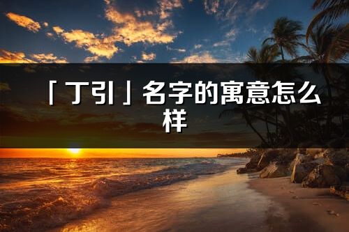 「丁引」名字的寓意怎么样_丁引的出处