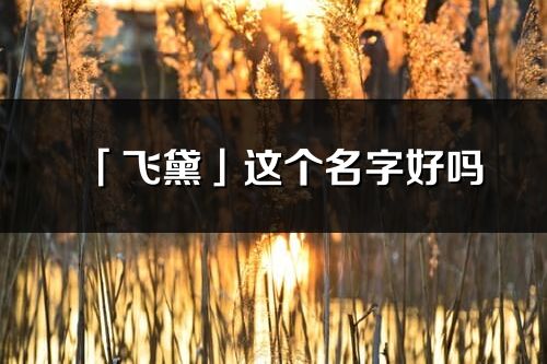 「飞黛」这个名字好吗_飞黛名字寓意,含义