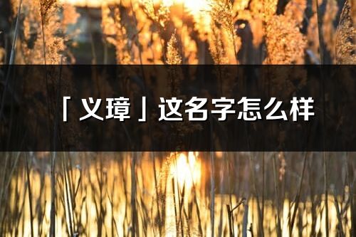 「义璋」这名字怎么样_义璋的名字解释