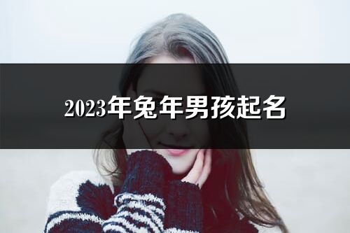 2023年兔年男孩起名