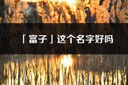 「富子」这个名字好吗_富子名字寓意,含义