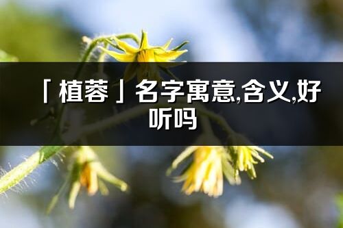 「植蓉」名字寓意,含义,好听吗_植蓉名字分析打分