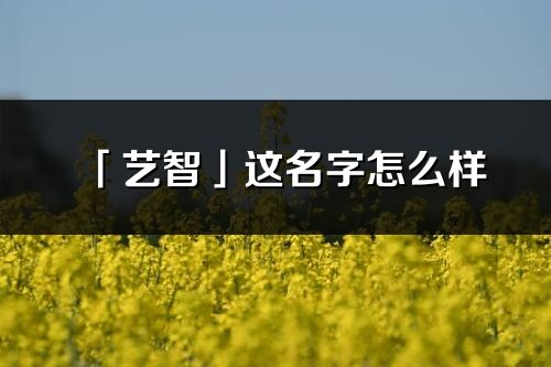 「艺智」这名字怎么样_艺智的名字解释