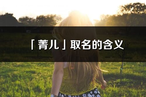 「菁儿」取名的含义_菁儿名字寓意解释