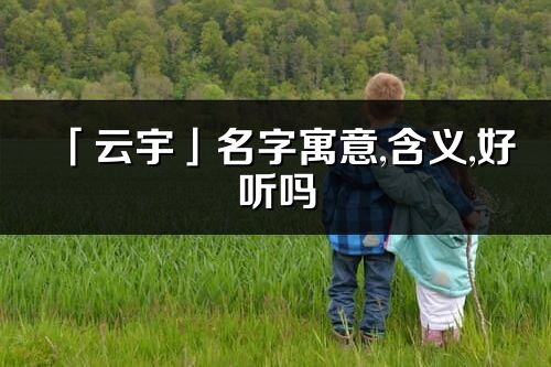 「云宇」名字寓意,含义,好听吗_云宇名字分析打分