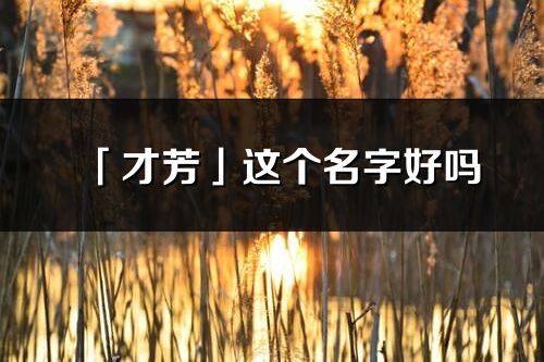 「才芳」这个名字好吗_才芳名字寓意,含义