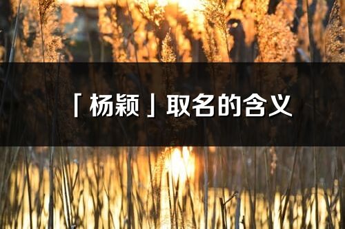 「杨颖」取名的含义_杨颖名字寓意解释