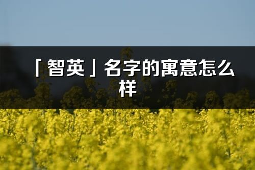 「智英」名字的寓意怎么样_智英的出处