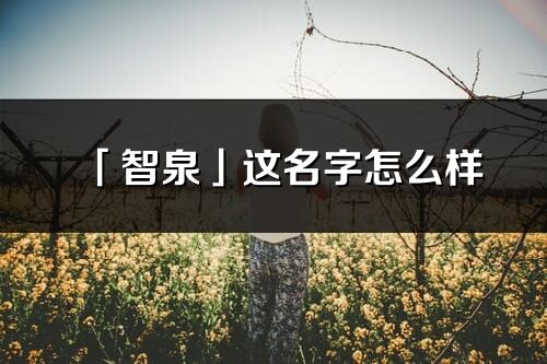 「智泉」这名字怎么样_智泉的名字解释