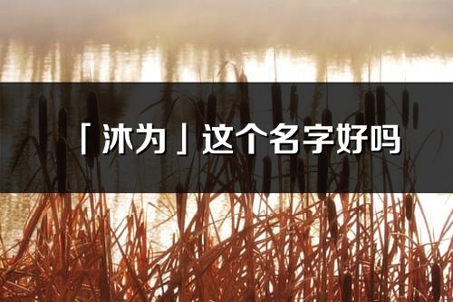 「沐为」这个名字好吗_沐为名字寓意,含义