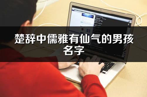 楚辞中儒雅有仙气的男孩名字