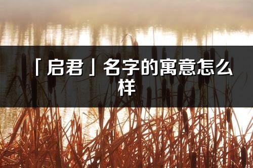 「启君」名字的寓意怎么样_启君的出处