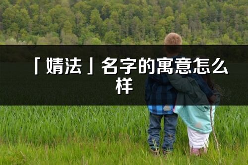 「婧法」名字的寓意怎么样_婧法的出处