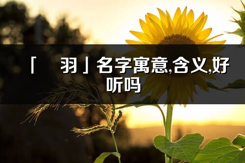 「旻羽」名字寓意,含义,好听吗_旻羽名字分析打分