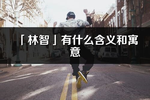 「林智」有什么含义和寓意_林智名字的出处与意思