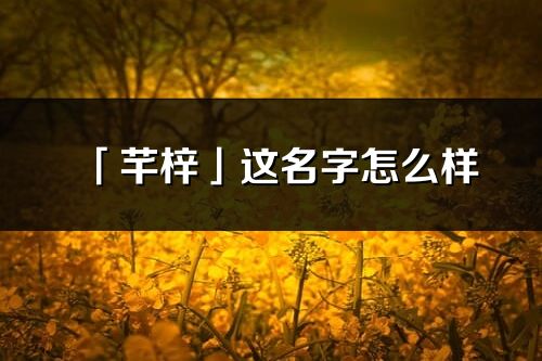 「芊梓」这名字怎么样_芊梓的名字解释