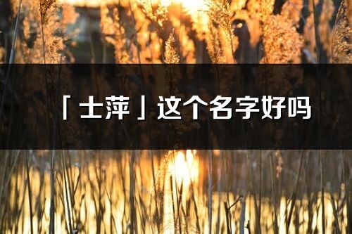 「士萍」这个名字好吗_士萍名字寓意,含义