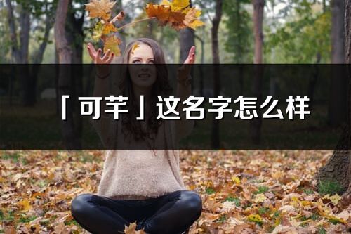 「可芊」这名字怎么样_可芊的名字解释