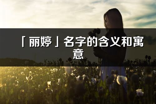 「丽婷」名字的含义和寓意_丽婷的出处与意思解释