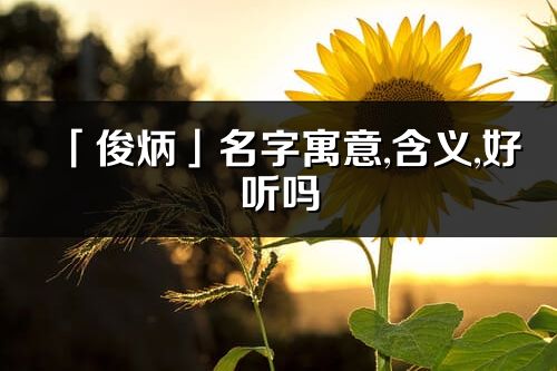 「俊炳」名字寓意,含义,好听吗_俊炳名字分析打分