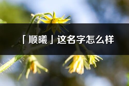 「顺曦」这名字怎么样_顺曦的名字解释