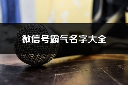 微信号霸气名字大全(共582个)