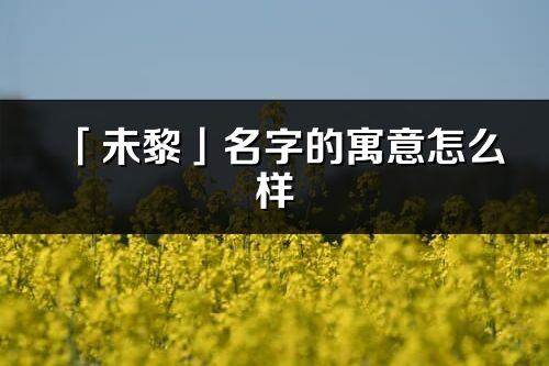 「未黎」名字的寓意怎么样_未黎的出处