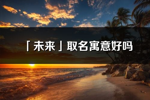 「未来」取名寓意好吗_未来名字含义及五行