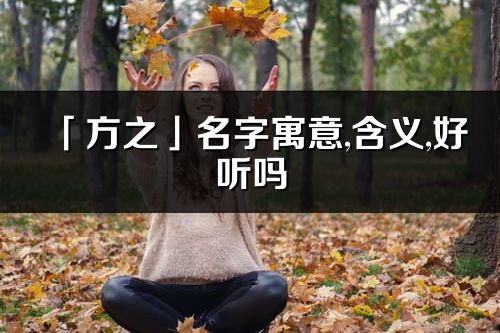 「方之」名字寓意,含义,好听吗_方之名字分析打分