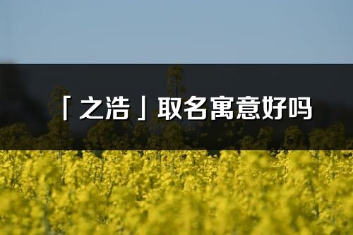 「之浩」取名寓意好吗_之浩名字含义及五行