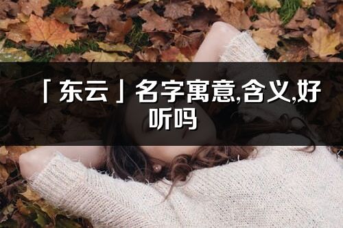 「东云」名字寓意,含义,好听吗_东云名字分析打分