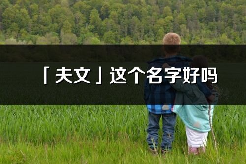 「夫文」这个名字好吗_夫文名字寓意,含义