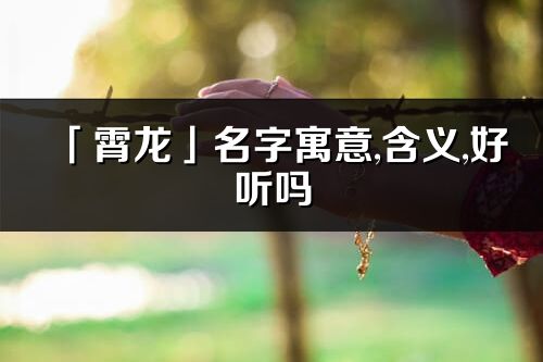 「霄龙」名字寓意,含义,好听吗_霄龙名字分析打分