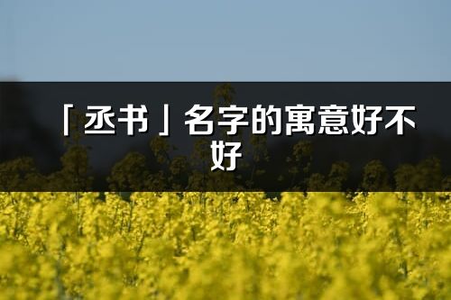 「丞书」名字的寓意好不好_丞书含义分析