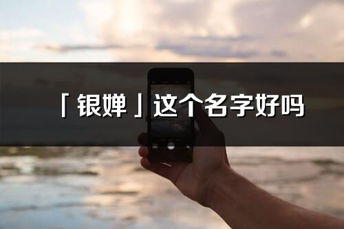 「银婵」这个名字好吗_银婵名字寓意,含义