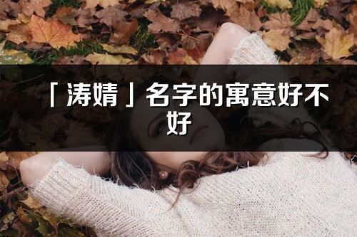 「涛婧」名字的寓意好不好_涛婧含义分析